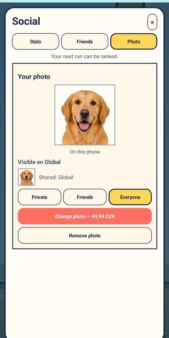 The Photo tab of the Social panel, showing the saved cutout and the choice between Private, Friends and Global visibility.